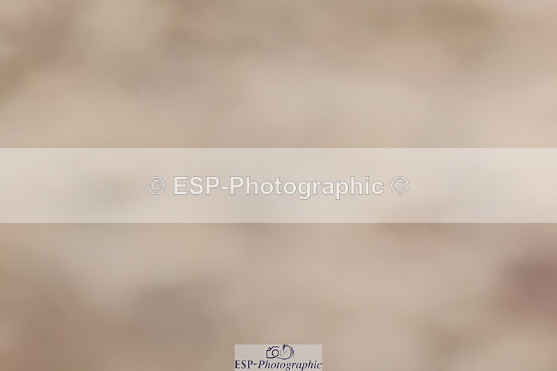 250622-124030-15217 - Cls 47 Novice 5, 11.30am to End