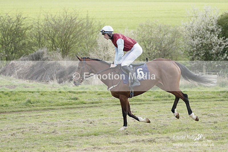 PtP 080423 927 - Dingley Races The Woodland Pytchley Hunt PtP 08/04/23