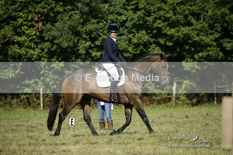 BVRC 120921 221 - Bourne Valley Riding Club UA Dressage & Show Jumping 12/09/21