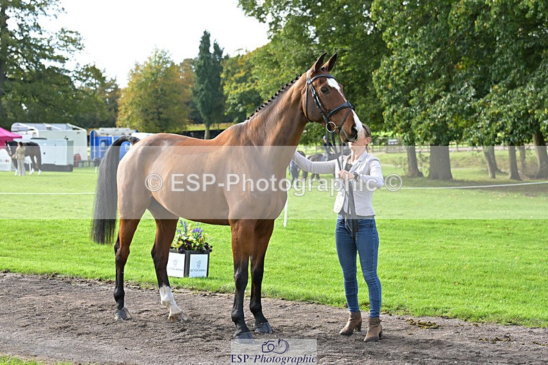 241023-131612-00163 - 057-Louisa.Lockwood-KILCANNON.OREO