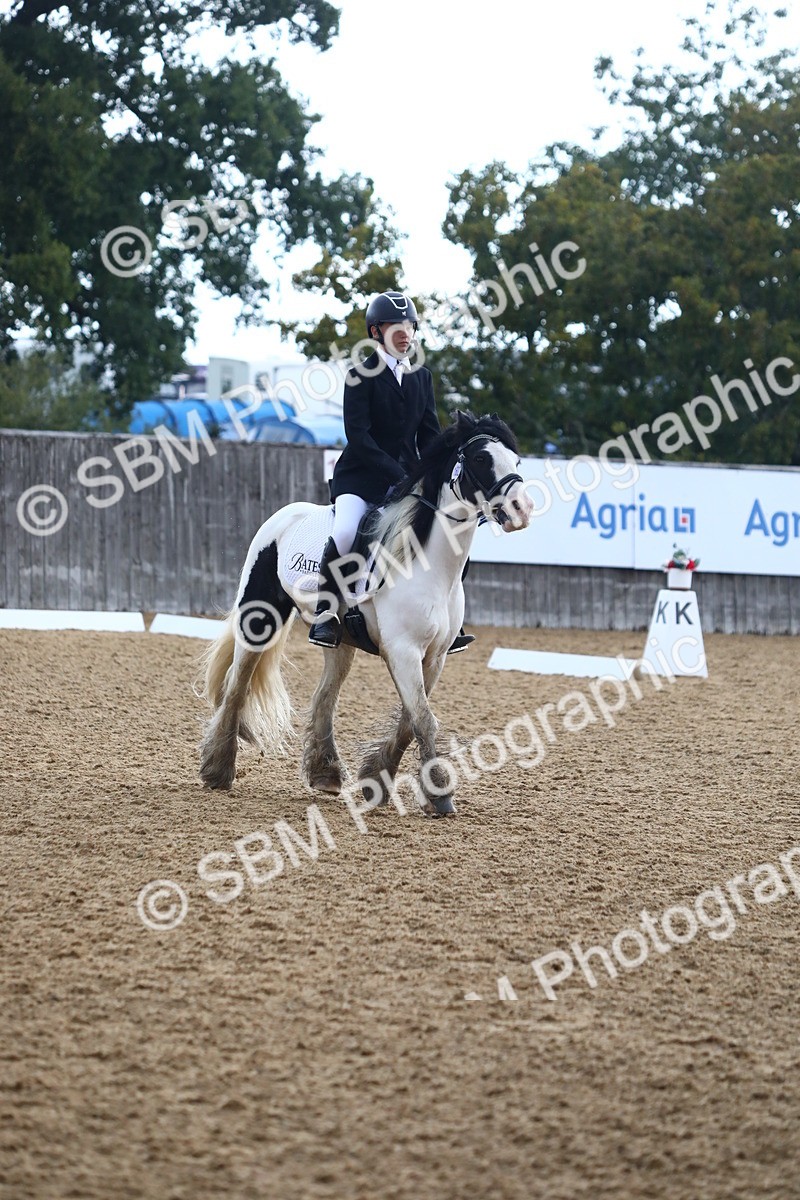 SBM_42575 - D21 - Junior Championship Intro 1