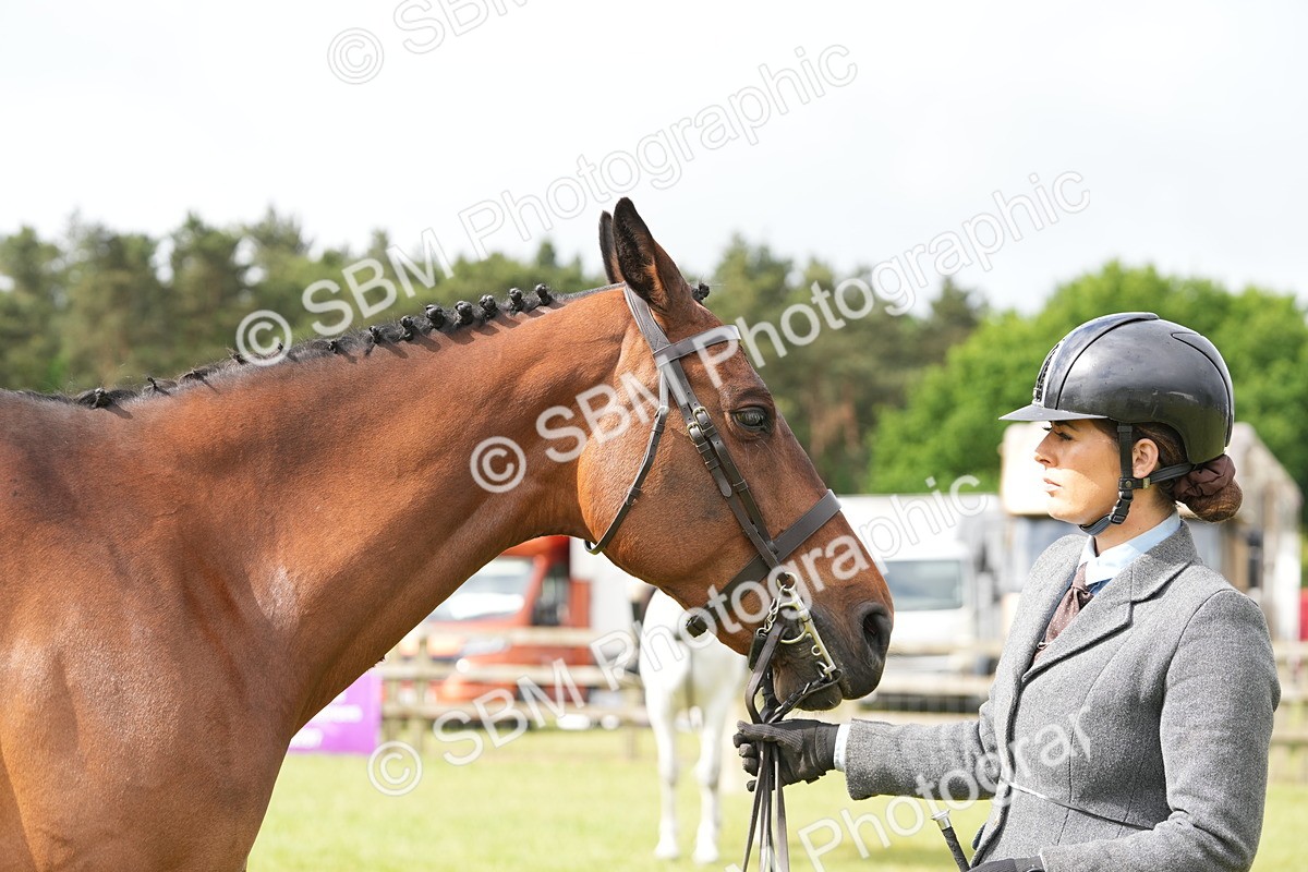 SBM_12770 - Class 97-98 - LIHS BSHA Rising Star Working Show Horse Hunter