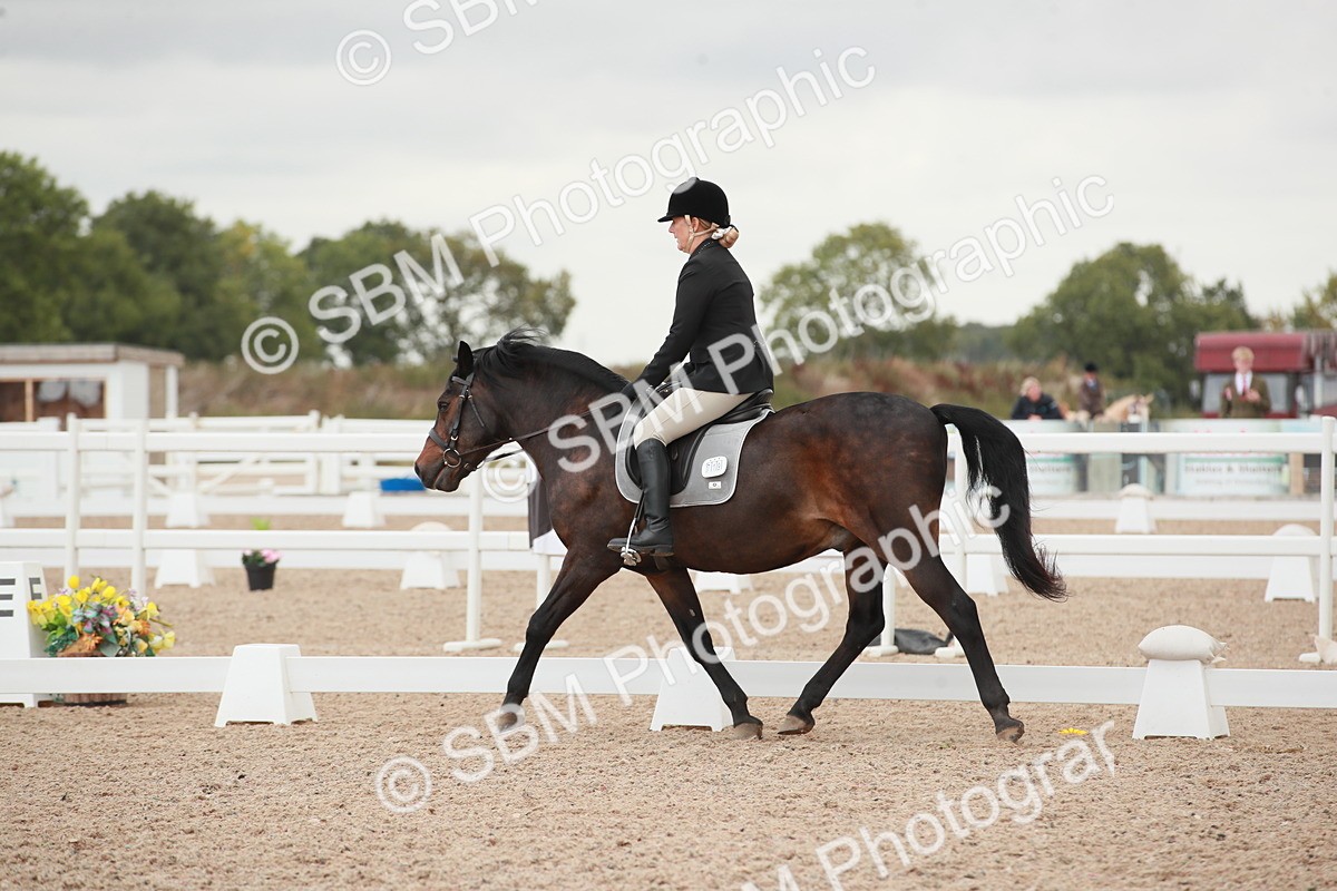 SBM_03740 - Class 31 - Prelim 1