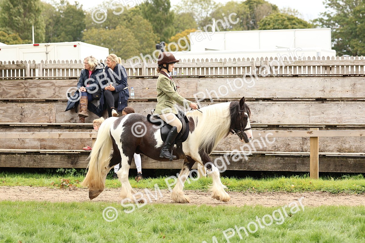 SBM_64383 - S58 - Coloured Pony Ridden