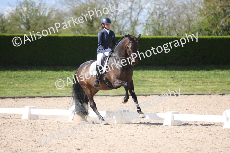 20260405-0631 - Class 7 - Medium 5