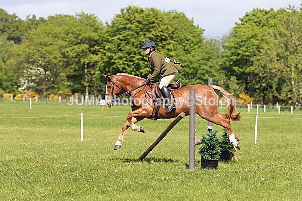 IMG_4570 - Working Hunter
