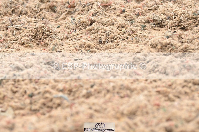 250705-120503-01863 - P2 Sections BDP2SNR, BDP2JNR 11.02 to 12.12