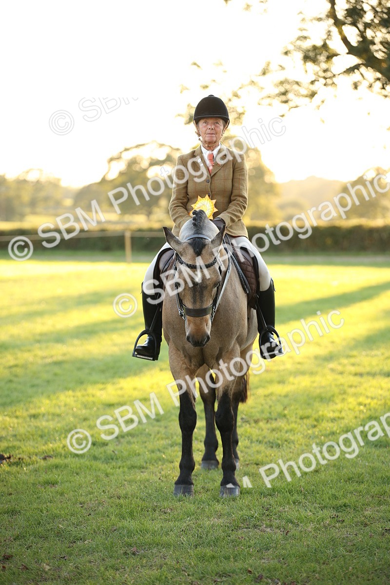 SBM_57062 - Veteran Supreme Championship