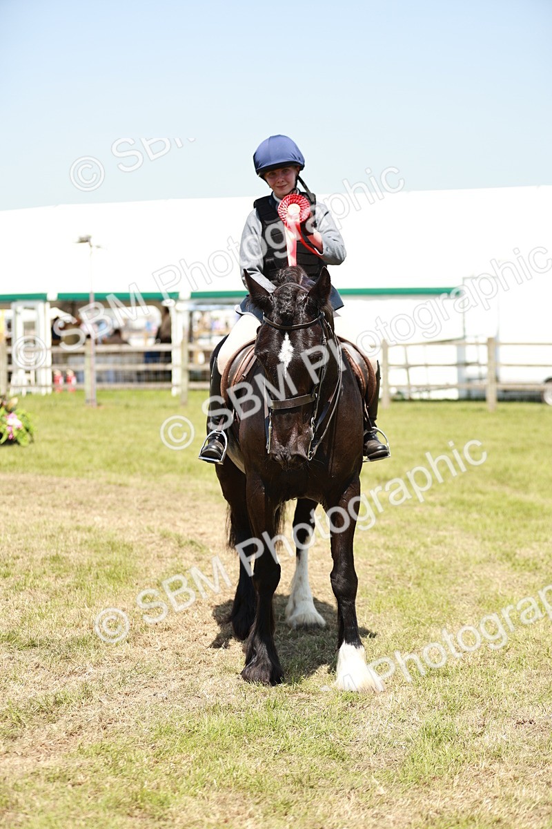 SBM_17375 - Class 110-111 - Training Stakes (70cms 80cms)