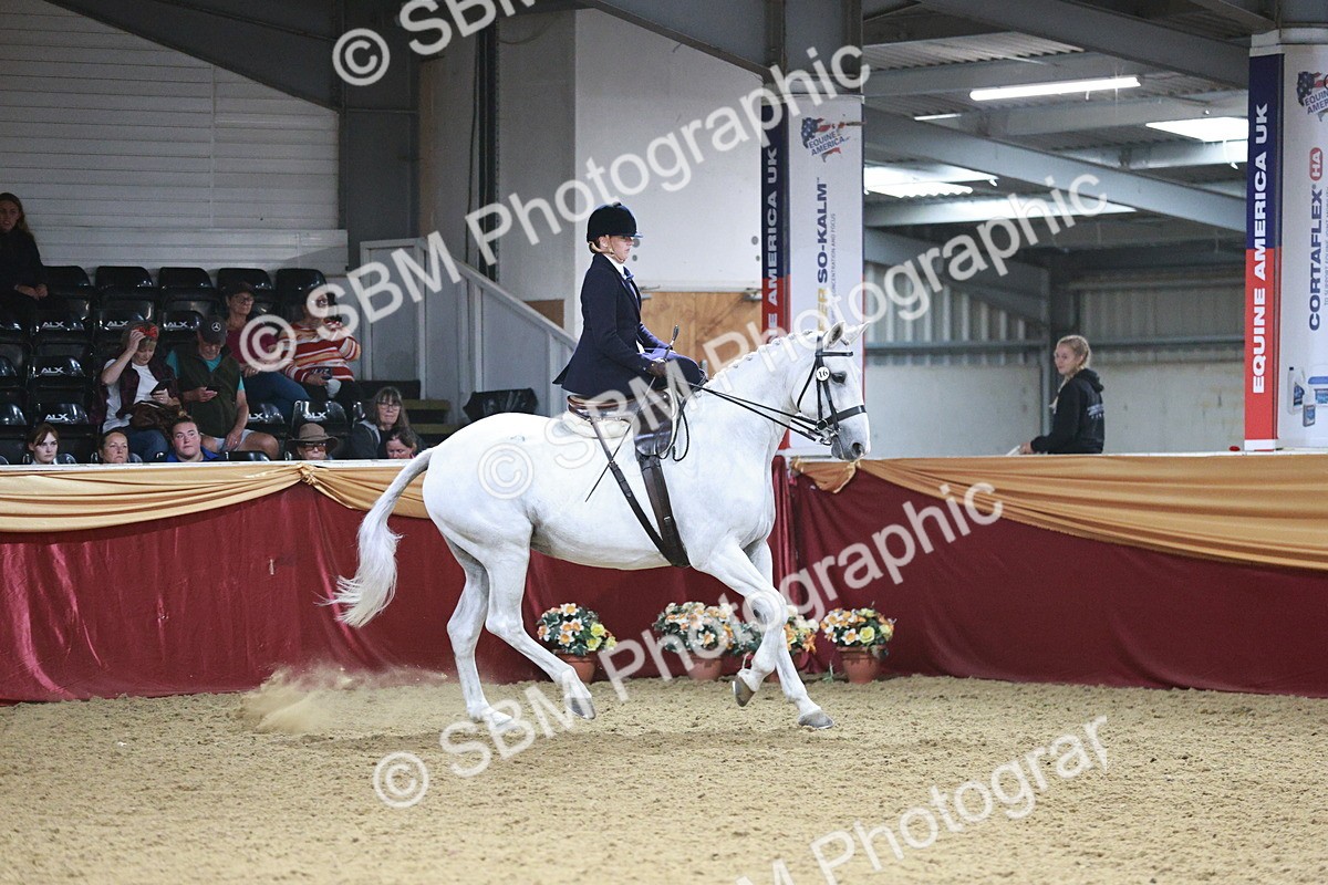 SBM_09065 - Class 12R - Regional Ridden Pre-Vet