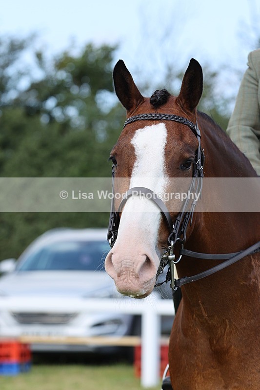 JPP_1252 - Class 17: Cornish Combination Open