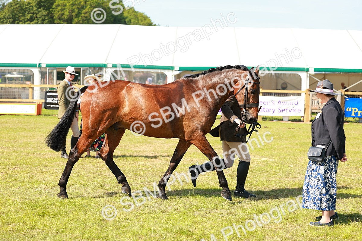 SBM_12079 - Class 66-69 - RIHS Ridden Hunters Inc Small Hunter