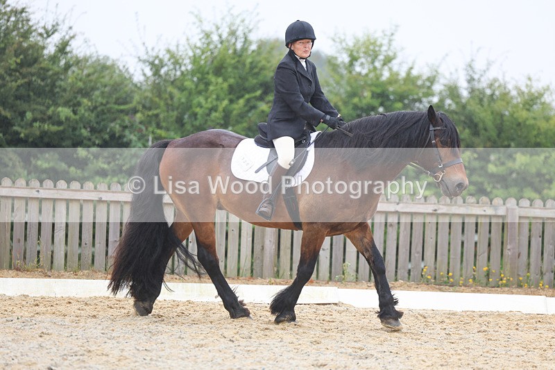 3E7A8157 - Class 1: Intro 3 2024 section A