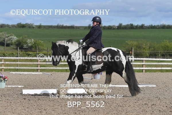 BPP_5562 - 4 L DENHOLM