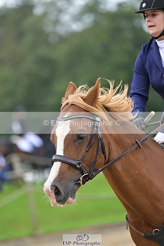 240929-123708-00690 - Cls 2 80-85cm 12.15 to End