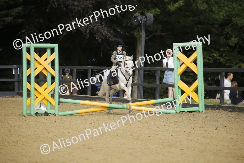 20250622-1449 - 40cm