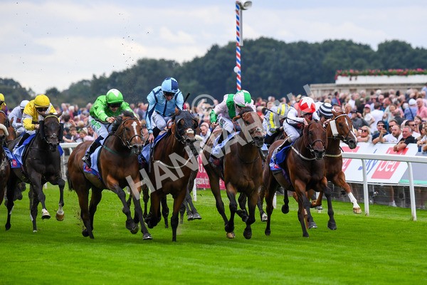 230823-Race 1-Equilateral-0238 - Race 1 1.50pm Sky Bet And Symphony Group Handicap