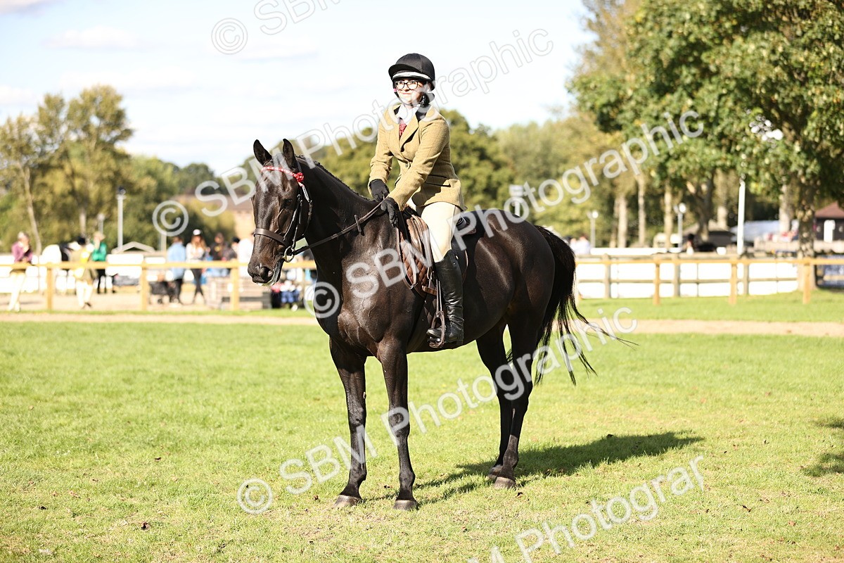 SBM_26393 - S6 - Novice & Newcomers Ridden Horse