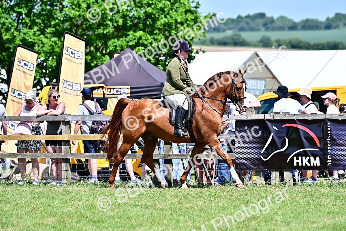 SBM_17453 - Class 95-97 - BSPS LHS Performance Ponies