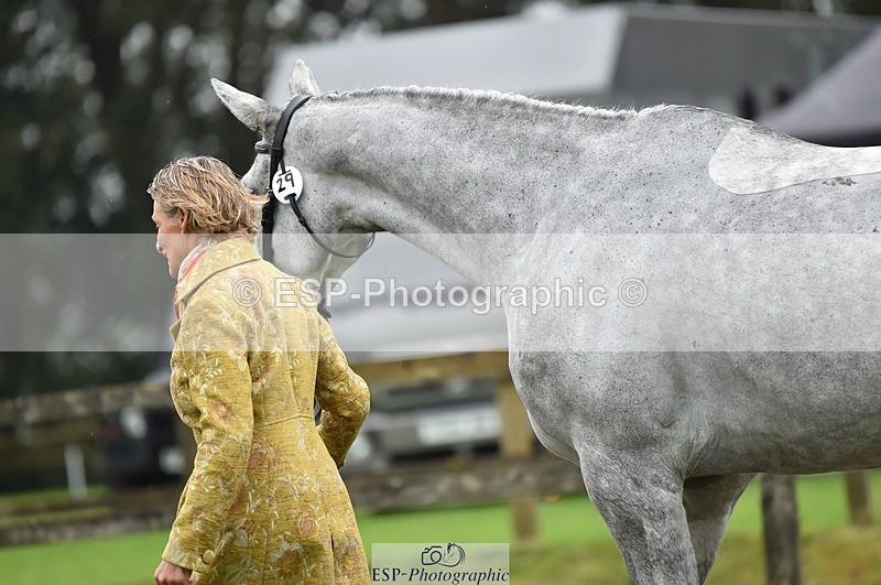 231018-122056-00229 - 029-KING.LOUIS-Mary.King-TrotUp