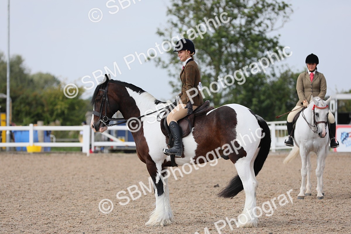 SBM_13440 - Class 308 Ridden Coloured Horse
