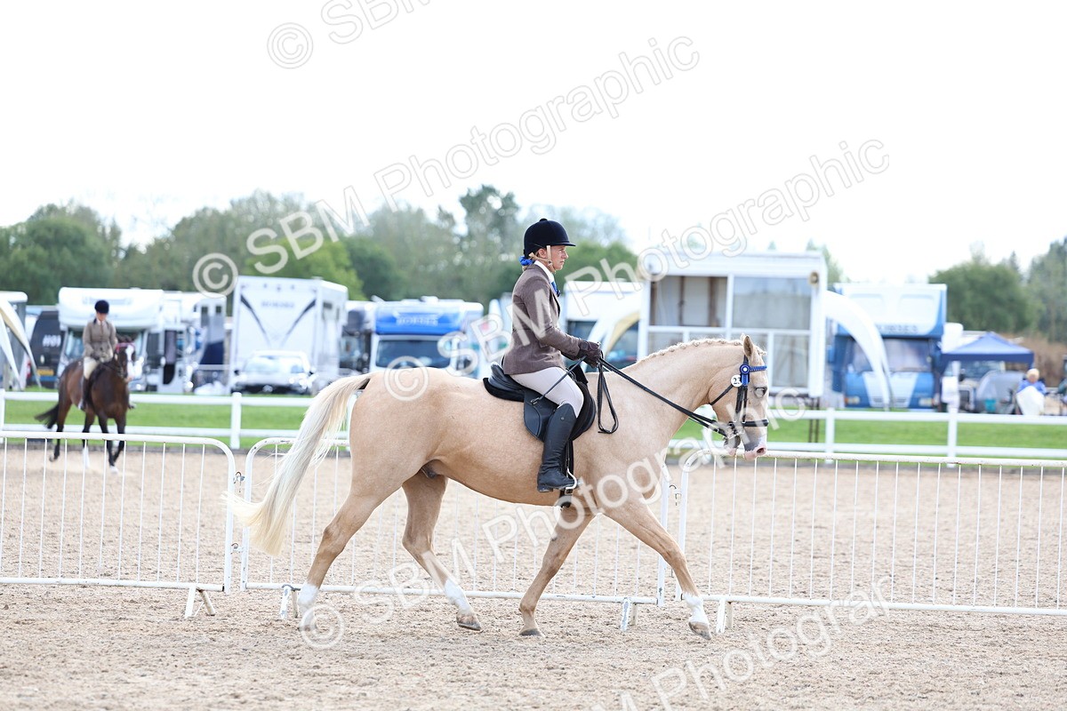 SBM_17093 - Class 315 - Best Horse - Rider Combination