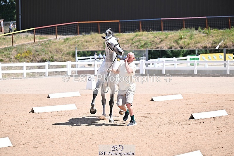 250716-122955-00015 - Trot Up 12.30 to 1.30