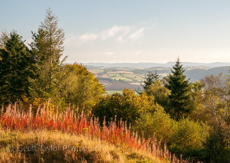 Bury Ditches - The Literary Landscape of Shropshire