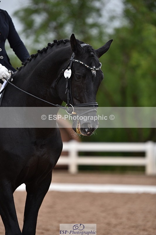 240623A-114610-17320 - Cls 47 BD Novice 22