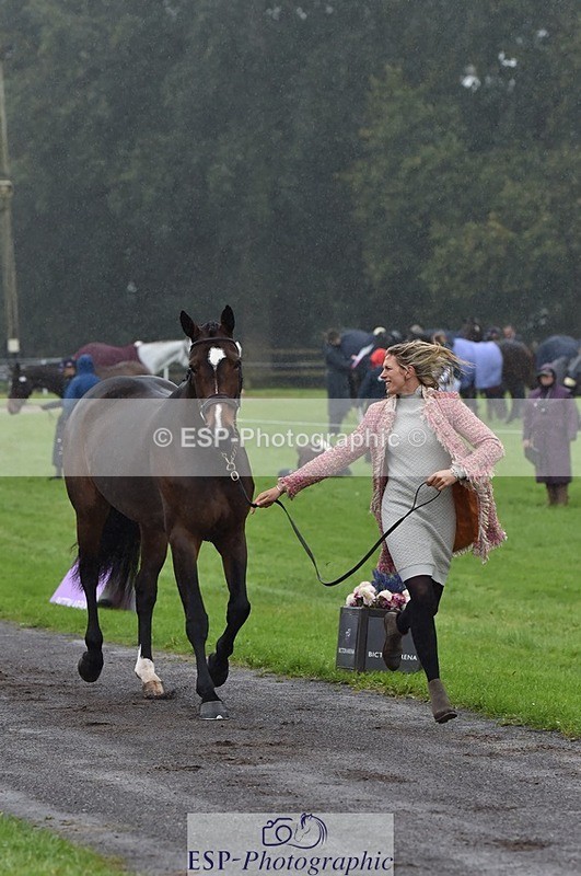 231018-120326-00048 - 057-OVERTON.TILANA'S.GOLD-Claire.Deuten-TrotUp