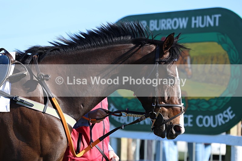 3E7A5598 - Race 6: Maiden (NWFAA)