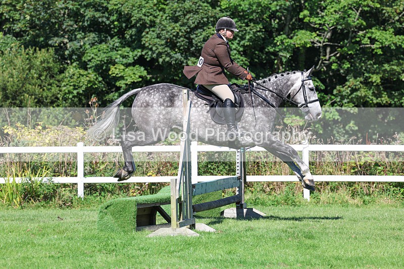 3E7A8283 - Class 4: Novice working Hunter