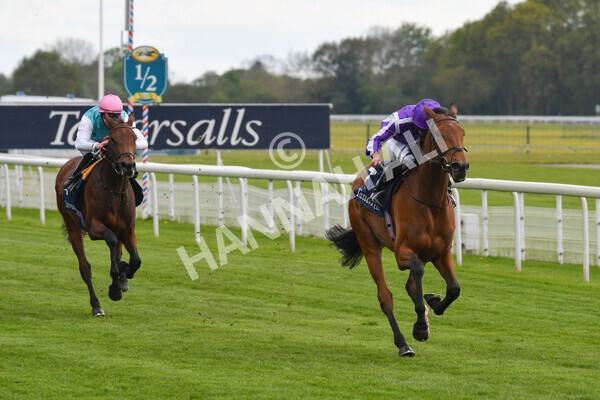 yr12052021r4-26 - Race 4 3.10pm Tattersalls Musidora Stakes