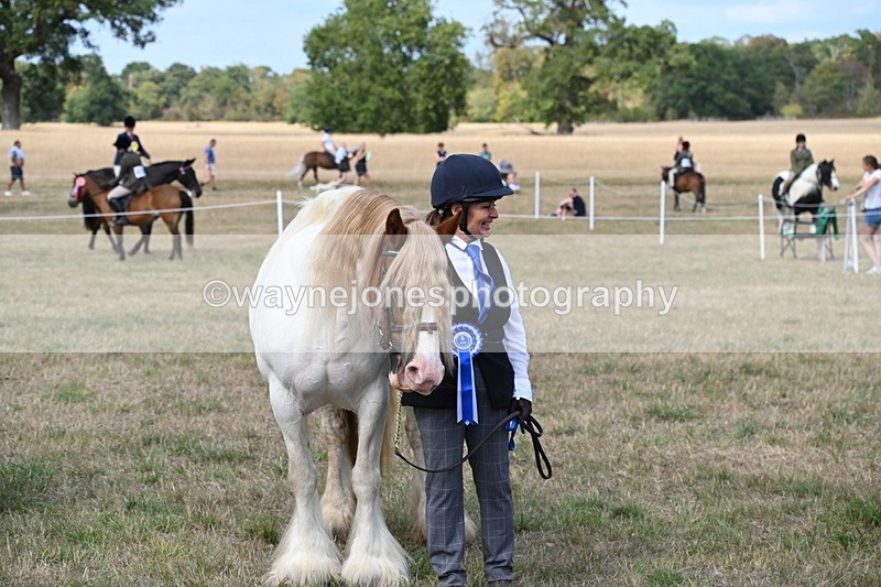 WJ6_6758 - Class 20 In-hand Cob