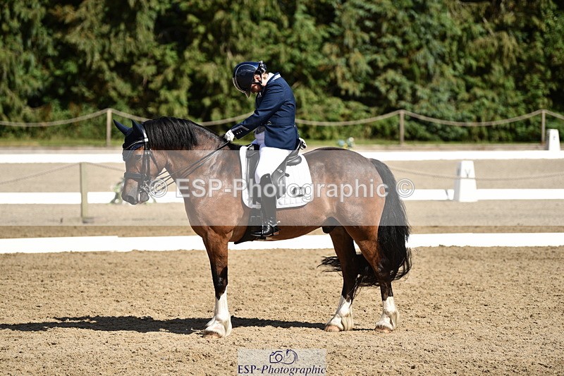 140110A-050220-12358 - 158-Alison.Crimp-Crwys.Beau