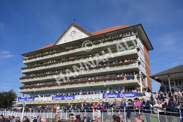 yr08102021r1-12 - Race 1 2.05pm Parsonage Hotel and Cloisters Spa Nursery Handicap