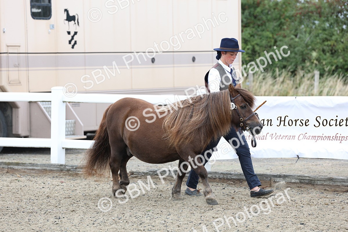 SBM_00007 - Class 50 - Best Turned Out IH