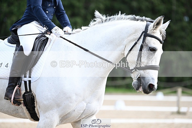 231110-130531-00844 - Cls 4 Novice 39Q