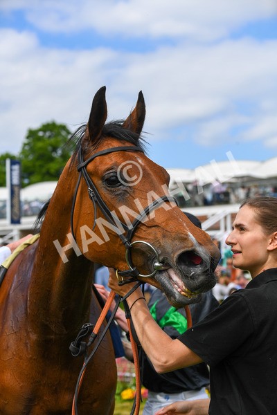 270523-Race 4-River of Stars-0633 - Race 4 3.15pm William Hill Bronte Cup Fillies' Stakes