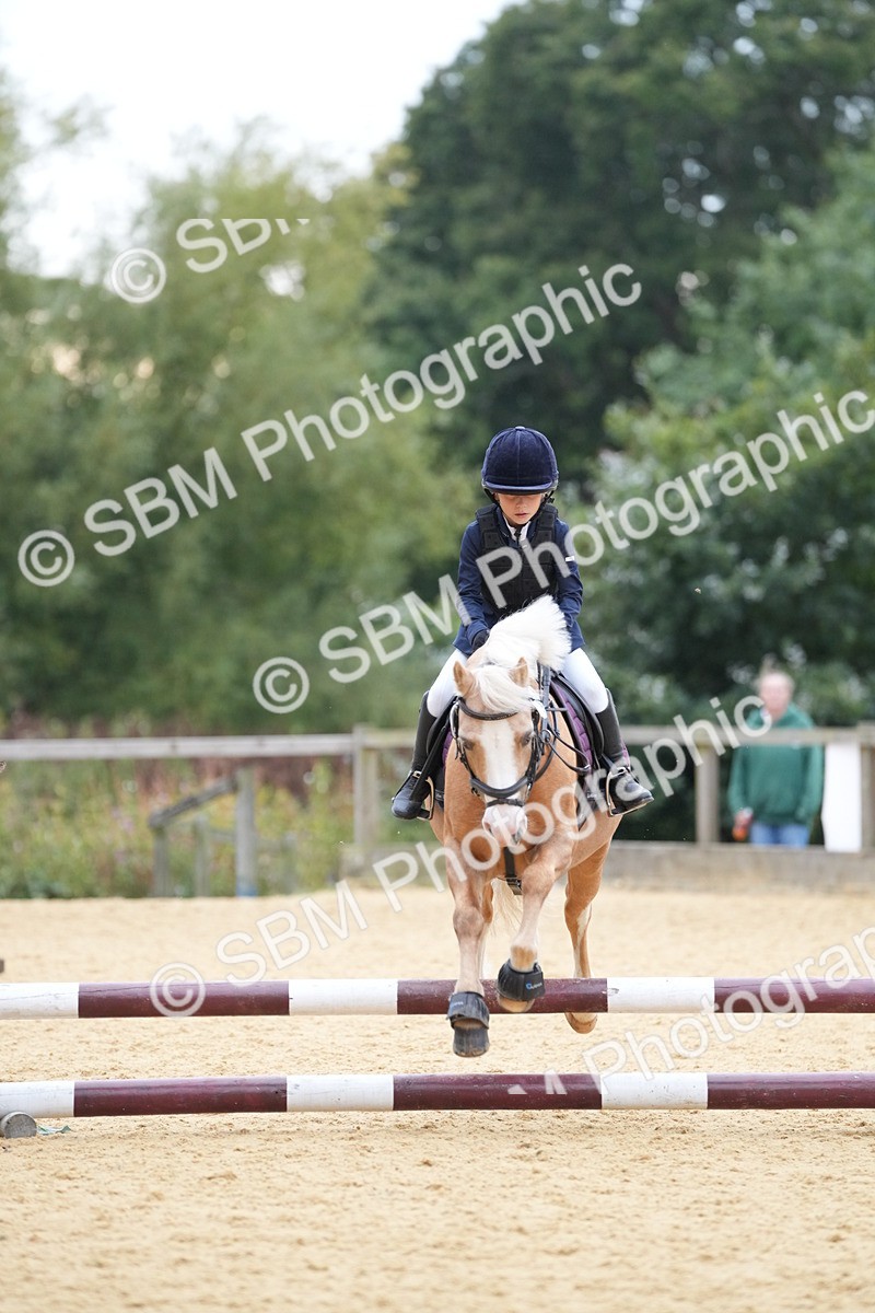 SBM_74573 - J4 - Mini Tour Junior Pony 45cm Championship