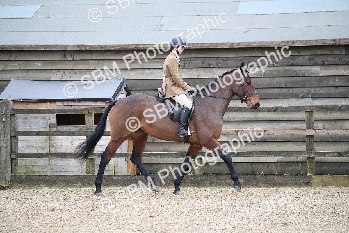 SBM_004729 - Class 5-9 - NPS In Hand-Show Hunter-Intermediate Ridden Inc Ridden Championship
