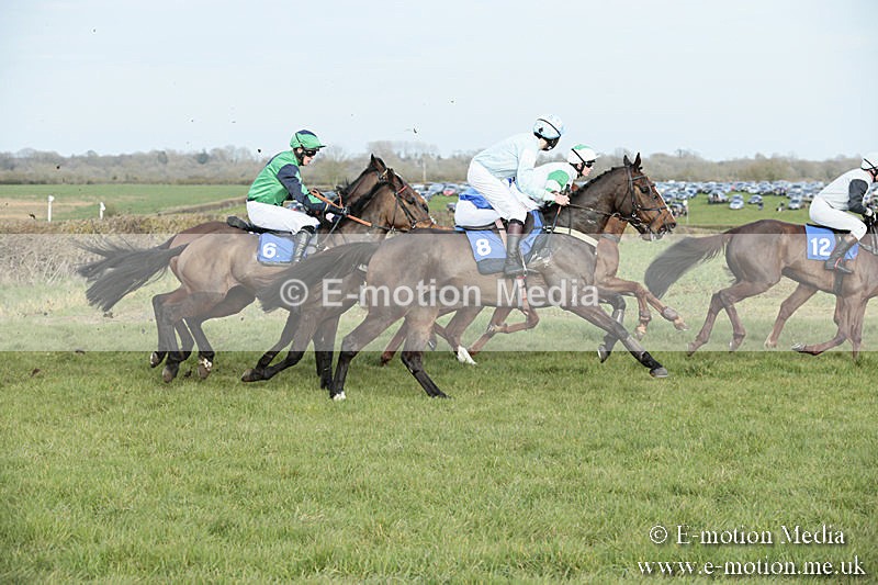 PtP 230319 440 - VWH Hunt Siddington Point-to-Point Racing 23/03/19