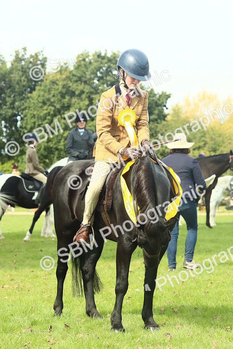 SBM_66754 - S34 - Rehabilitated Rescue Horse & Pony In Hand & Ridden