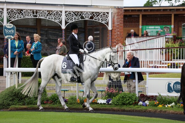 yr22052022r8e-103 - ROR - Parade Ring York