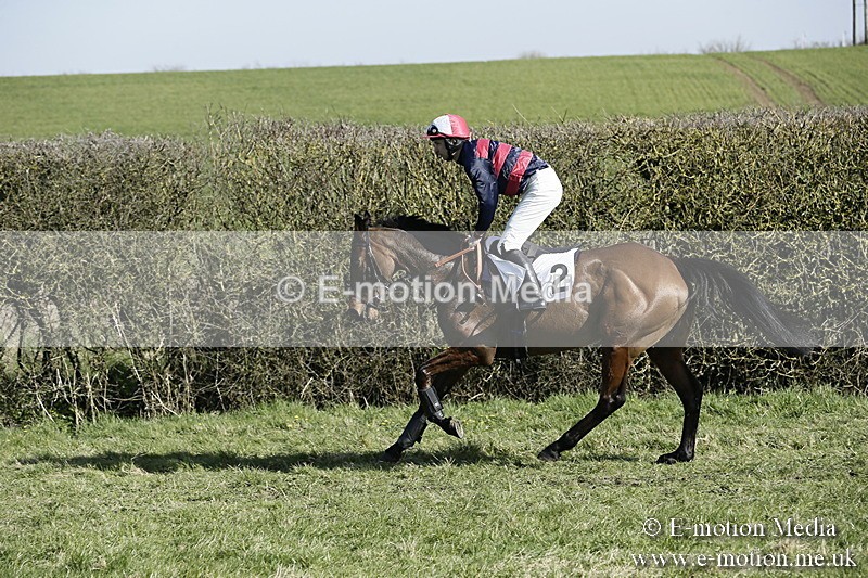 PtP 250317 205 - V.W.H. Hunt Point-to-Point Siddington 25/03/17