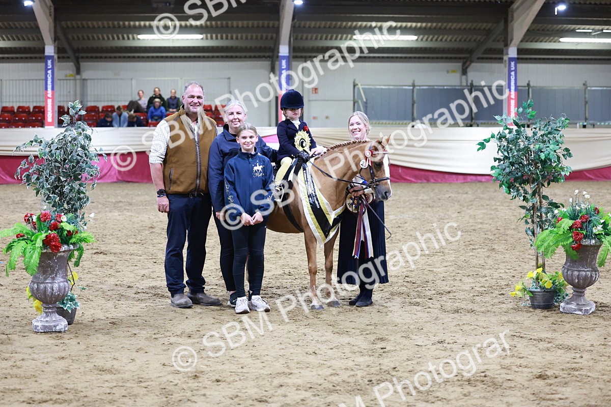 SBM_20601 - Class H - IH Competition - Riding Club champ