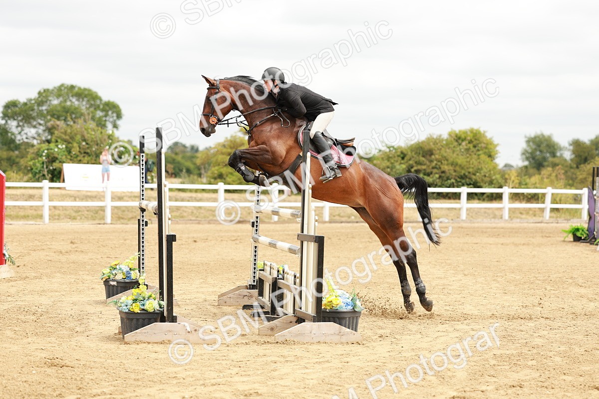 SBM_017532 - Class 21 - Senior Newcomers Championship 2d Rd