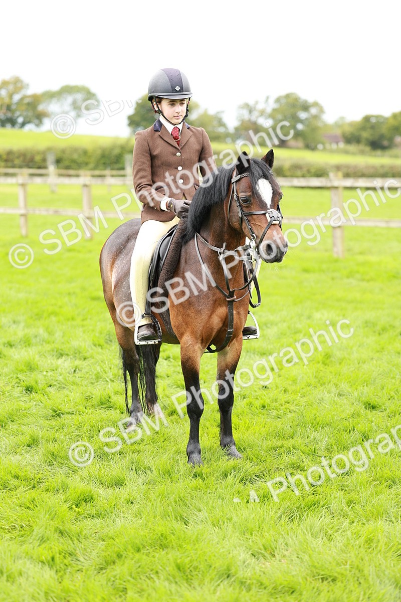 SBM_41787 - S32 - Mountain & Moorland Working Hunter Pony
