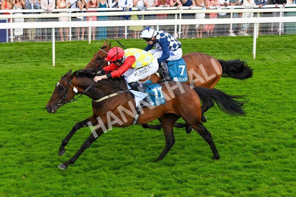 290723-Race 5-Baez-0840 - Race 5 4.35pm Sky Bet Prize Drop Handicap