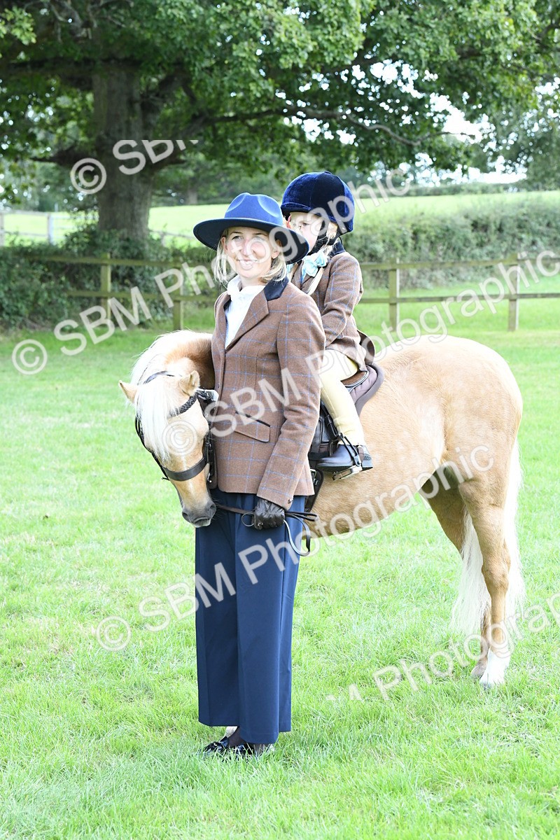 SBM_42601 - S20 - Lead Rein Mountain & Moorland Pony